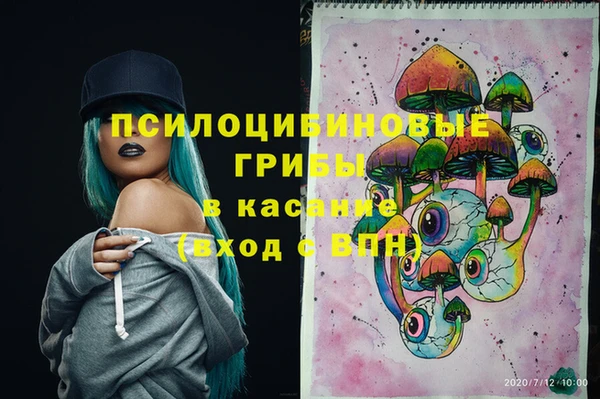 синтетический гашиш Бердск