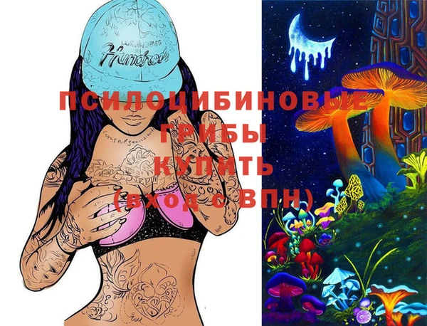 прущие крисы Ачинск