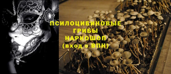 прущие крисы Ачинск