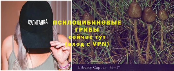 прущие крисы Ачинск
